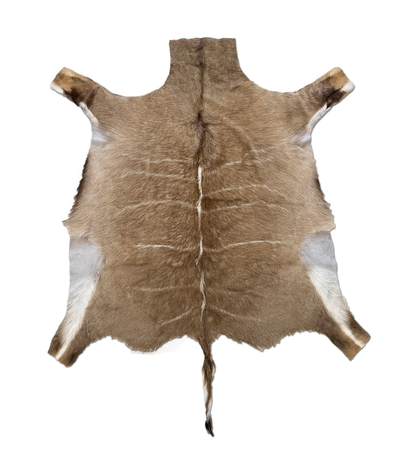 kudu animal hide