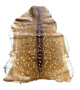 axis deer hide