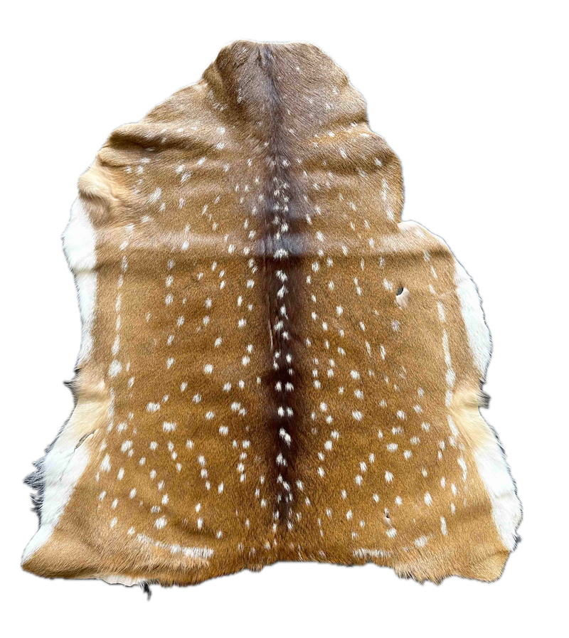 axis deer hide