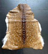 axis deer hide