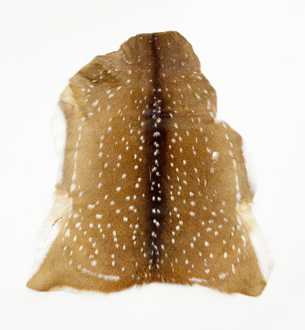 axis deer hide