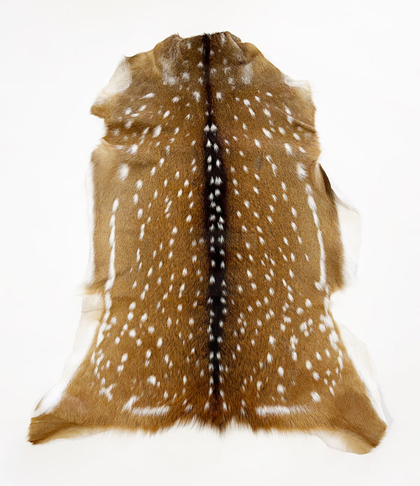 axis deer hide