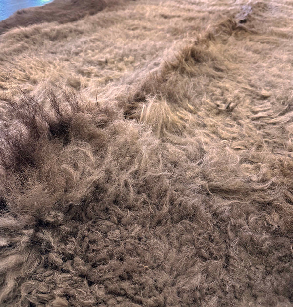 buffalo rug