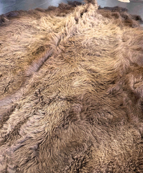 buffalo rug