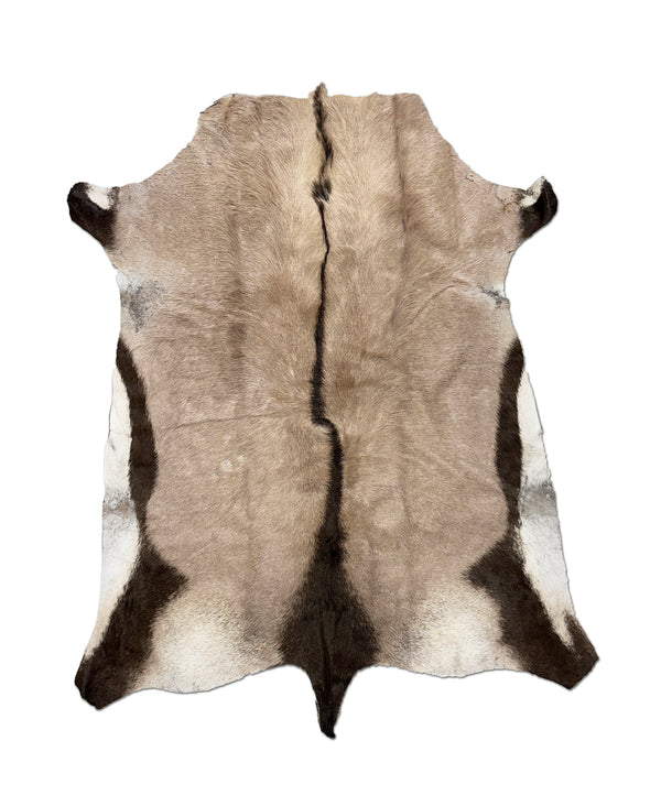 gemsbok oryx fur rug