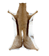 springbok hide